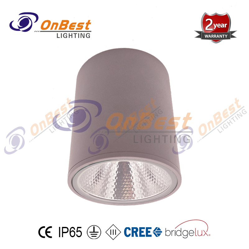 KCL-14520 Cylindrical 20W LED Ceiling Lights,Outdoor Ceiling Lights,LED Outdoor Ceiling Lights,LED Ceiling Light Fixture,Supplied Ceiling Lights in OnBest Lighting