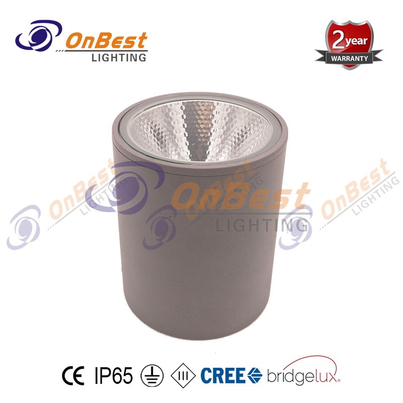 KCL-14520 Cylindrical 20W LED Ceiling Lights,Outdoor Ceiling Lights,LED Outdoor Ceiling Lights,LED Ceiling Light Fixture,Supplied Ceiling Lights in OnBest Lighting