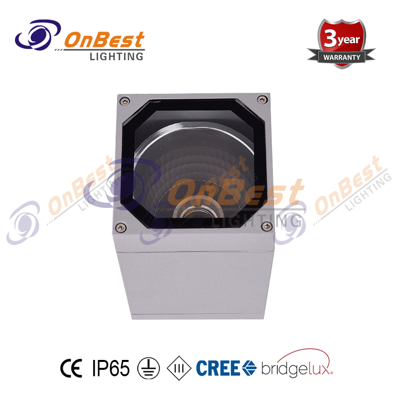 KCL-098 IP65 Rating Square Shape 10W LED Ceiling Light,10w Led Ceiling Lightings,Outdoor Ceiling Lights,led Outdoor Ceiling Light,Supplied Outdoor Led Ceiling Light in OnBest Lighting