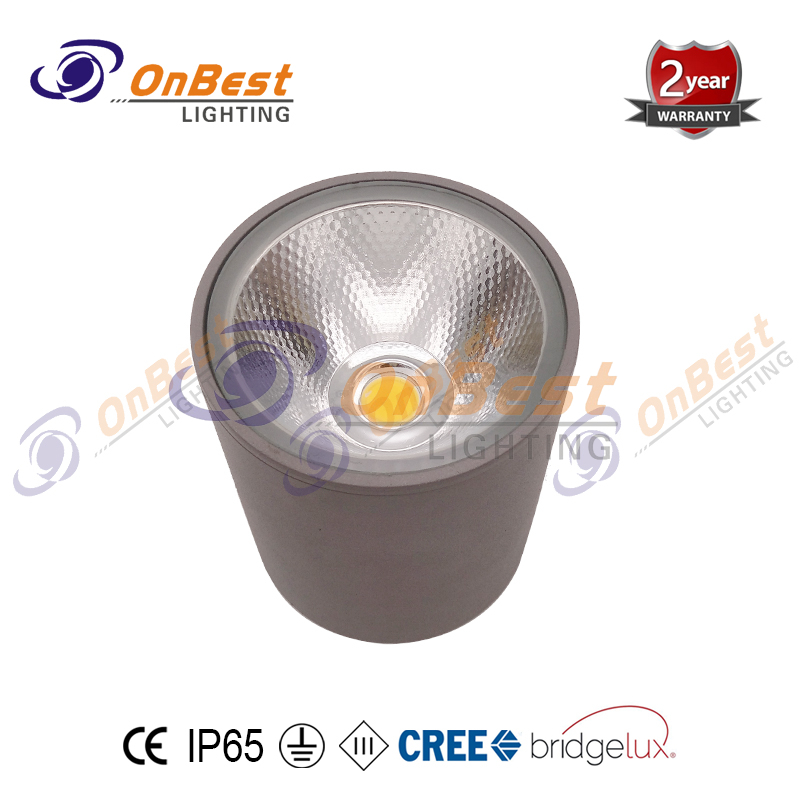 KCL-14520 Cylindrical 20W LED Ceiling Lights,Outdoor Ceiling Lights,LED Outdoor Ceiling Lights,LED Ceiling Light Fixture,Supplied Ceiling Lights in OnBest Lighting