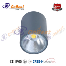 KCL-10812 IP65 Rating Cylindrical 12W LED Ceiling Light,12w Led Ceiling Lightings,Outdoor Ceiling Lights,LED Outdoor Ceiling Light,Supplied Outdoor Led Ceiling Light in OnBest Lighting