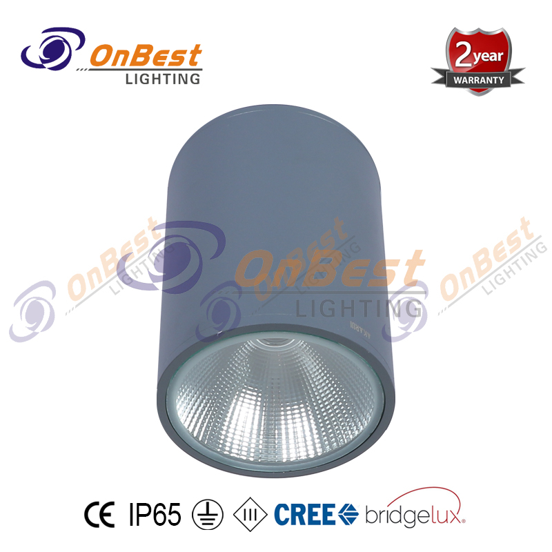 KCL-10812 IP65 Rating Cylindrical 12W LED Ceiling Light,12w Led Ceiling Lightings,Outdoor Ceiling Lights,LED Outdoor Ceiling Light,Supplied Outdoor Led Ceiling Light in OnBest Lighting