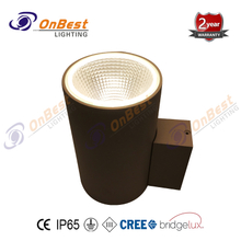 15w CREE LED Light,LED Surface Mounted Wall Lamp,LED Wall Light,Supplied Led Wall Lighting in OnBest Lighting