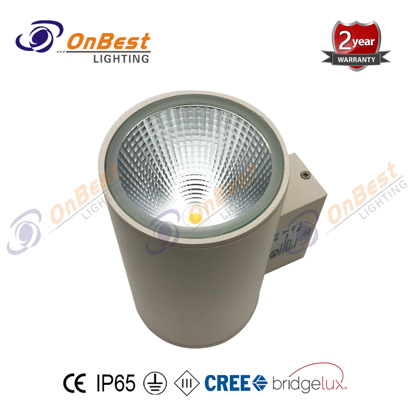 15w CREE LED Light,LED Surface Mounted Wall Lamp,LED Wall Light,Supplied Led Wall Lighting in OnBest Lighting