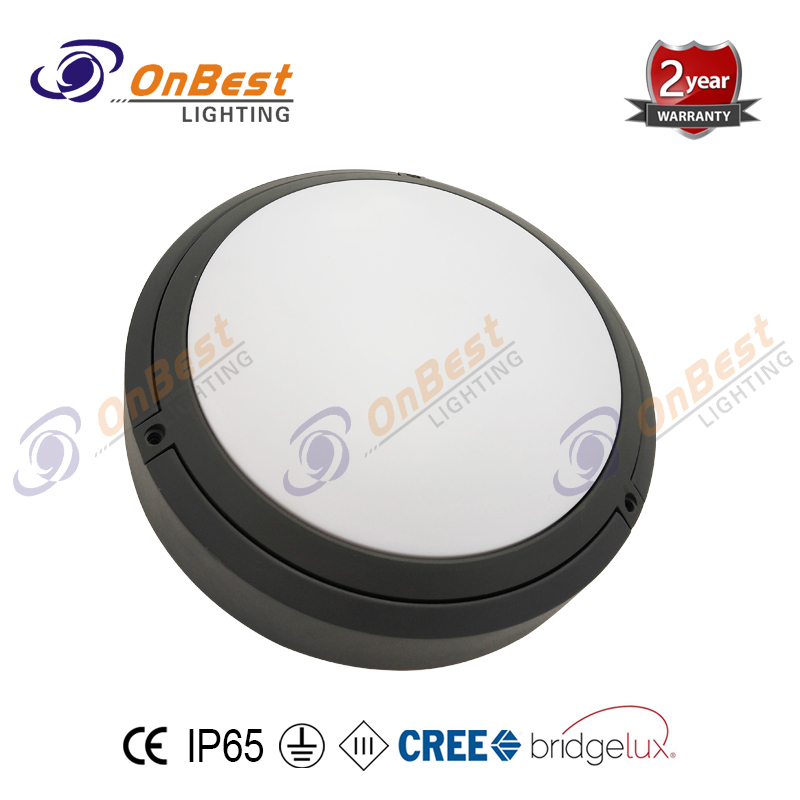 Good Quality Led Wall Light 18w SMD Led Bulkhead Light in Round Shape,18w Led Ceiling Light,led Wall Light,Supplied Led Wall Lamp in OnBest Lighting