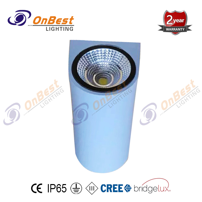 Cylinderal Led Wall Light 2x6W Led Modern Light KWL-1012B in White,Anti Glare Led Surface Mounted Led Wall Sconce,12w Led Light,led Up Down Wall Light,Supplied Led Light in OnBest Lighting