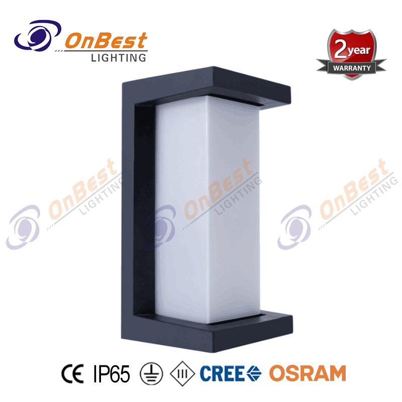 Super Bright Modern Luminaire Surface Mount 12W Led Light,led,led Wall Lamp,led Lighting,Supplied Led Wall Light in OnBest Lighting