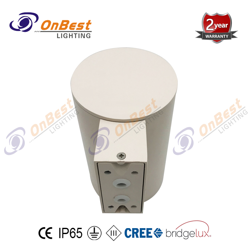15w CREE LED Light,LED Surface Mounted Wall Lamp,LED Wall Light,Supplied Led Wall Lighting in OnBest Lighting