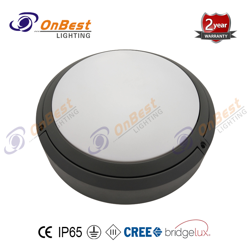 Good Quality Led Wall Light 18w SMD Led Bulkhead Light in Round Shape,18w Led Ceiling Light,led Wall Light,Supplied Led Wall Lamp in OnBest Lighting